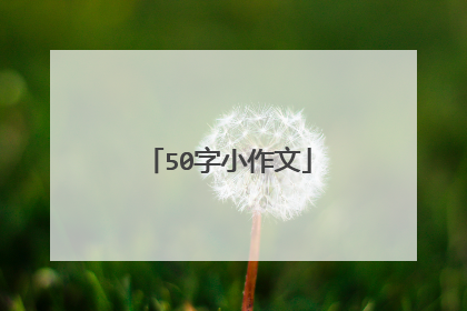 50字小作文