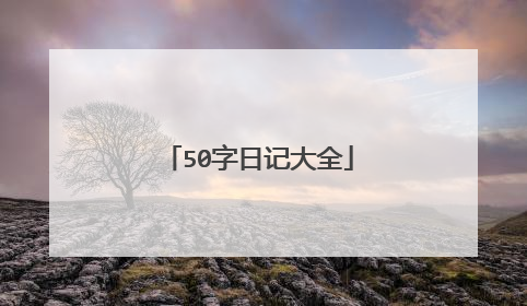 50字日记大全
