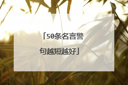 50条名言警句越短越好