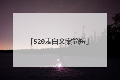 520表白文案简短