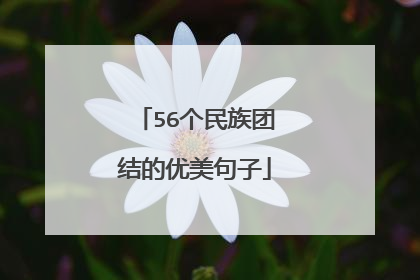 56个民族团结的优美句子