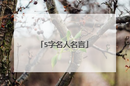 5字名人名言