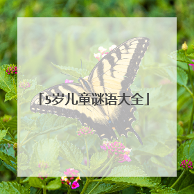5岁儿童谜语大全