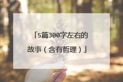 5篇300字左右的故事（含有哲理）