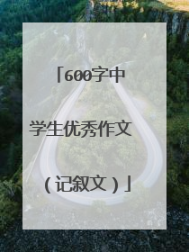 600字中学生优秀作文（记叙文）