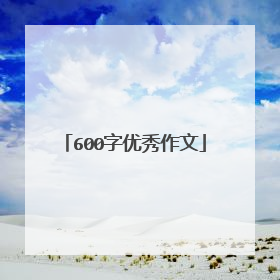 600字优秀作文