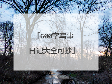 600字写事日记大全可抄