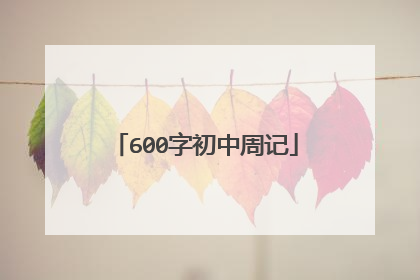 600字初中周记