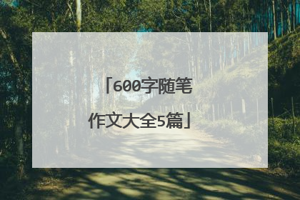600字随笔作文大全5篇