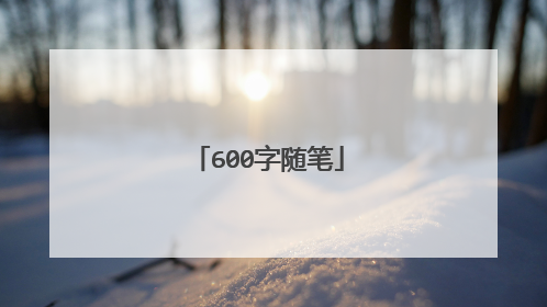 600字随笔