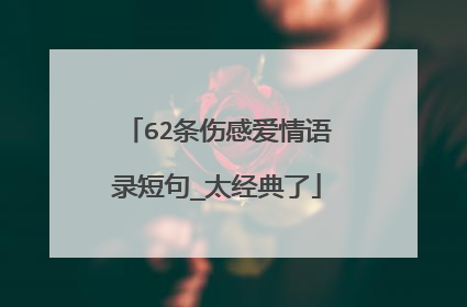 62条伤感爱情语录短句_太经典了