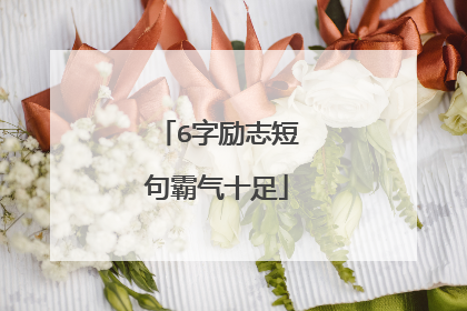 6字励志短句霸气十足