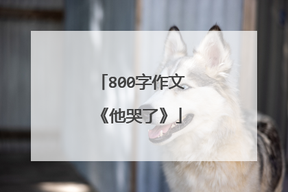 800字作文《他哭了》