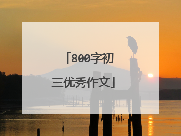 800字初三优秀作文