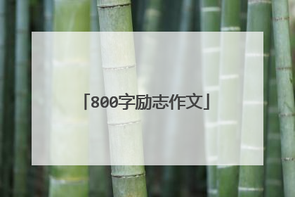 800字励志作文