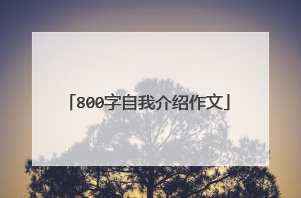 800字自我介绍作文