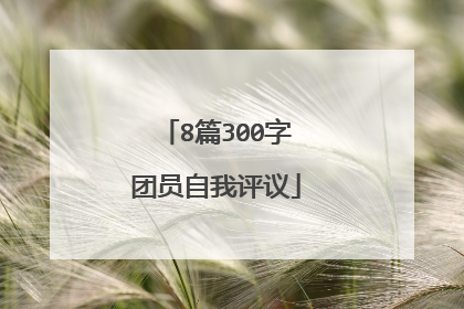 8篇300字团员自我评议