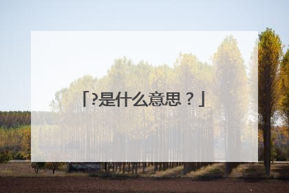 ?是什么意思？
