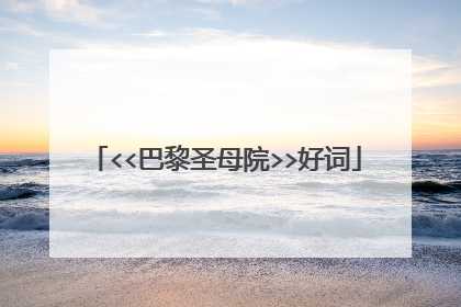 <<巴黎圣母院>>好词