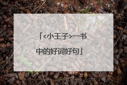 <小王子>一书中的好词好句