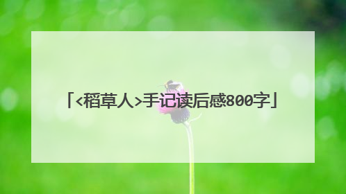 <稻草人>手记读后感800字