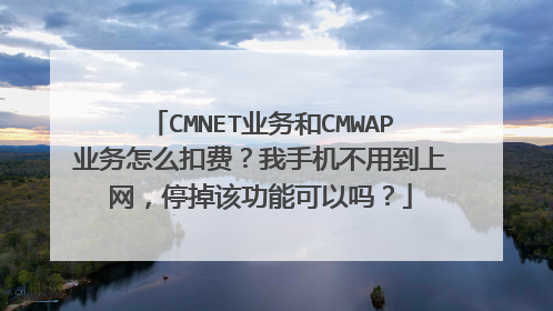 CMNET业务和CMWAP业务怎么扣费？我手机不用到上网，停掉该功能可以吗？