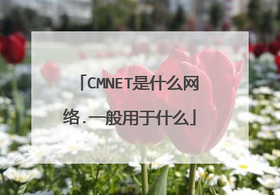 CMNET是什么网络.一般用于什么