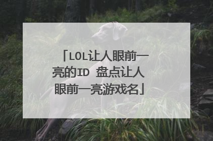 LOL让人眼前一亮的ID 盘点让人眼前一亮游戏名