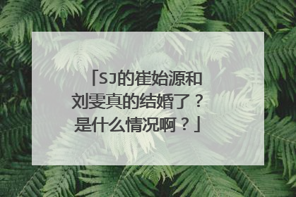 SJ的崔始源和刘雯真的结婚了？是什么情况啊？