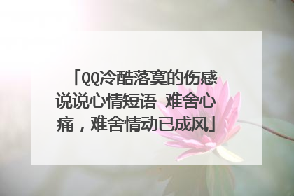 QQ冷酷落寞的伤感说说心情短语 难舍心痛,难舍情动已成风