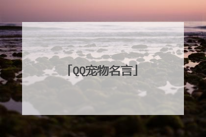 QQ宠物名言