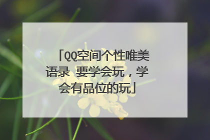 QQ空间个性唯美语录 要学会玩,学会有品位的玩