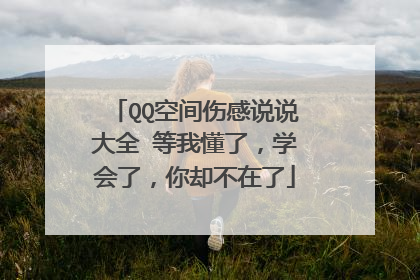 QQ空间伤感说说大全 等我懂了，学会了，你却不在了