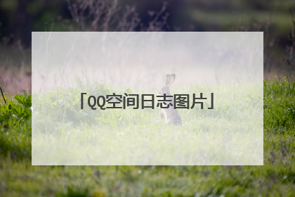 QQ空间日志图片