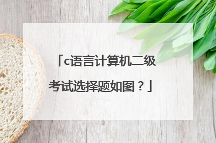 c语言计算机二级考试选择题如图？