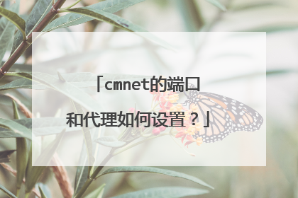 cmnet的端口和代理如何设置？