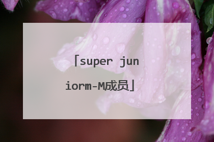 super juniorm-M成员