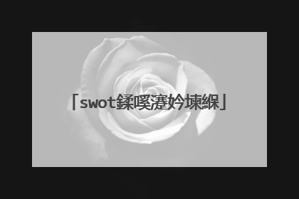 swot鍒嗘瀽妗堜緥