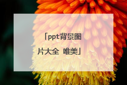 ppt背景图片大全 唯美