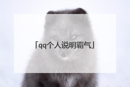 qq个人说明霸气