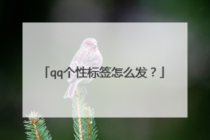 qq个性标签怎么发？