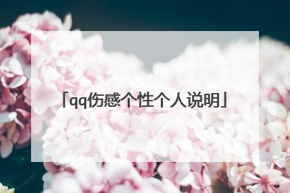 qq伤感个性个人说明