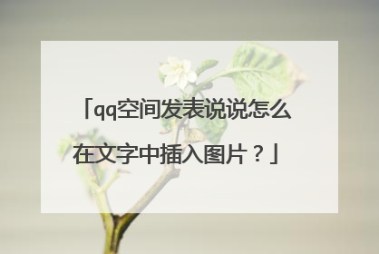 qq空间发表说说怎么在文字中插入图片？