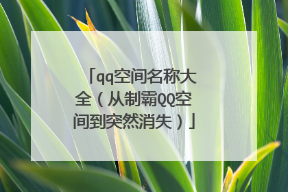 qq空间名称大全(从制霸QQ空间到突然消失)