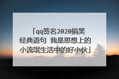 qq签名2020搞笑经典语句 我是思想上的小流氓生活中的好小伙