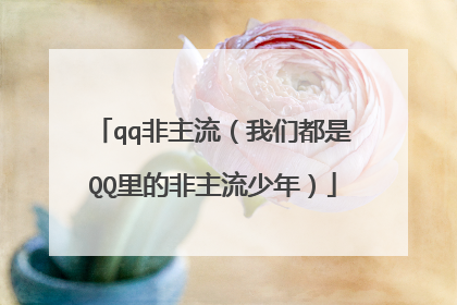 qq非主流（我们都是QQ里的非主流少年）
