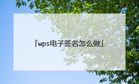 wps电子签名怎么做