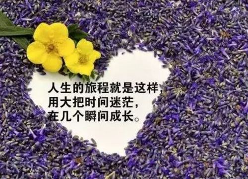 朋友圈句句说到心坎里的人生哲理早安经典句子配图