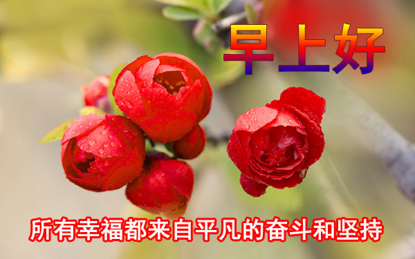 新版早上好问候祝福图片：为你在新的一天加油!