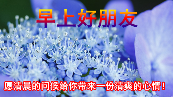 2019新版早上好特漂亮祝福图片带字，送朋友的唯美暖心祝福语